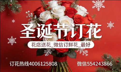 ��ݸ�ϳ�������