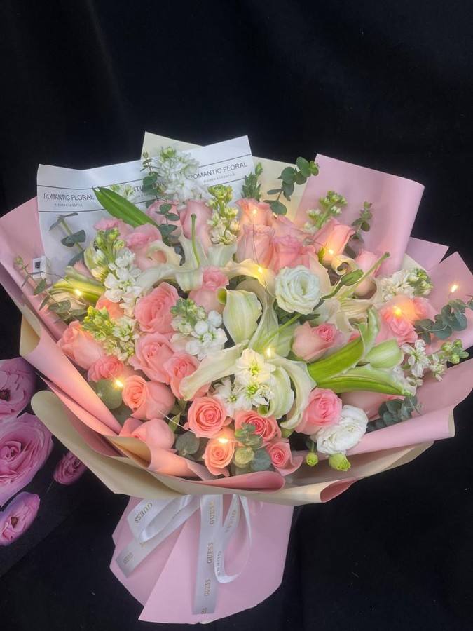 ��ݸ�ϳ�������